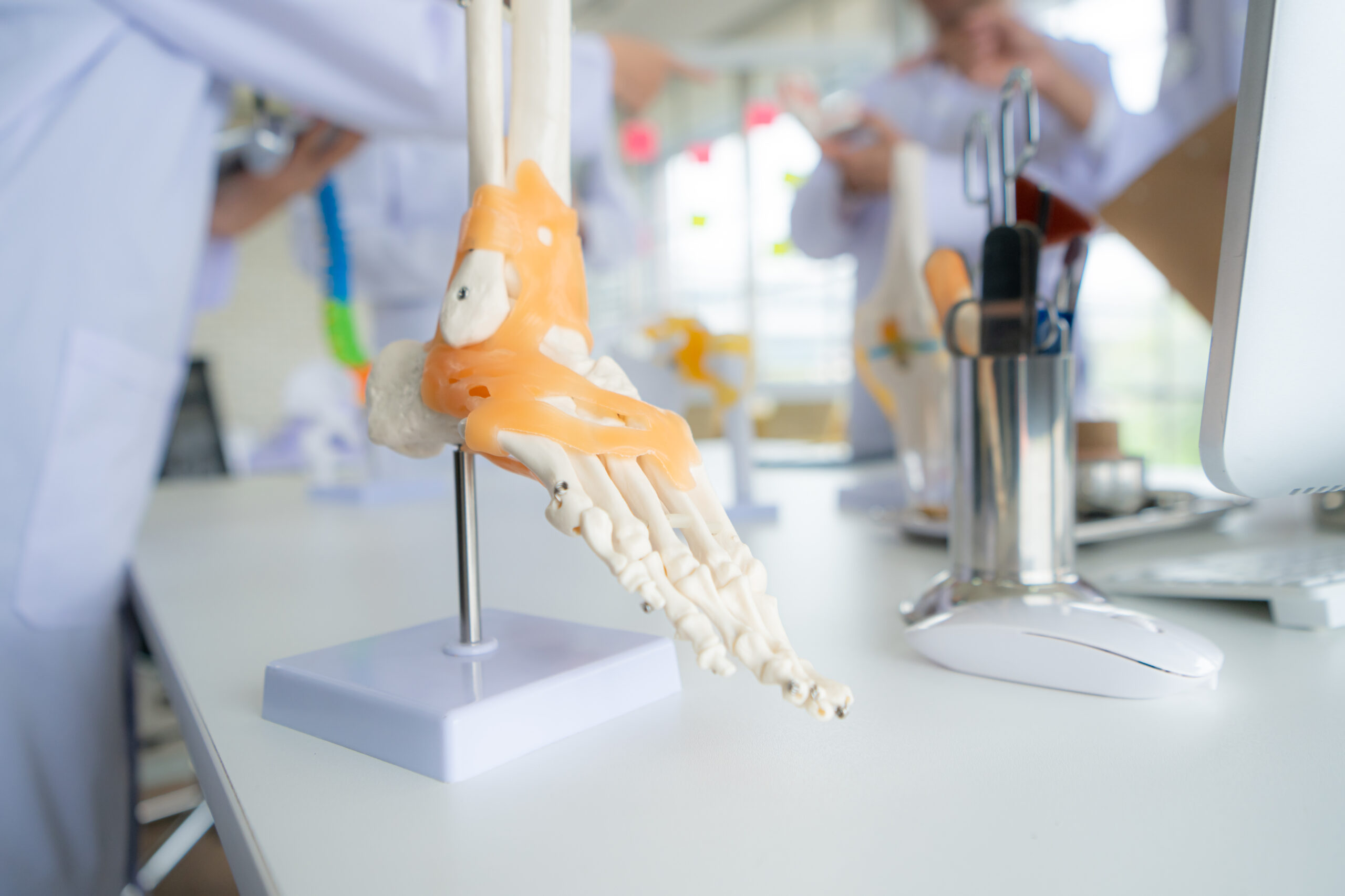 Patologías del Sistema Músculoesquelético {{brizy_dc_image_alt imageSrc=